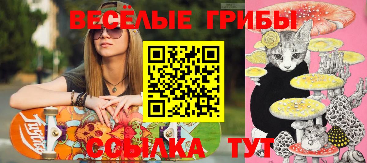 Кушва  Галлюциногенные грибы MAGIC MUSHROOMS  Вход с VPN 